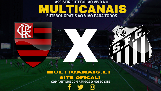 Assistir Flamengo x Santos AO VIVO Online 29/04/2024
