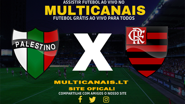 Assistir Palestino x Flamengo AO VIVO Online 07/05/2024